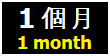 每月租金